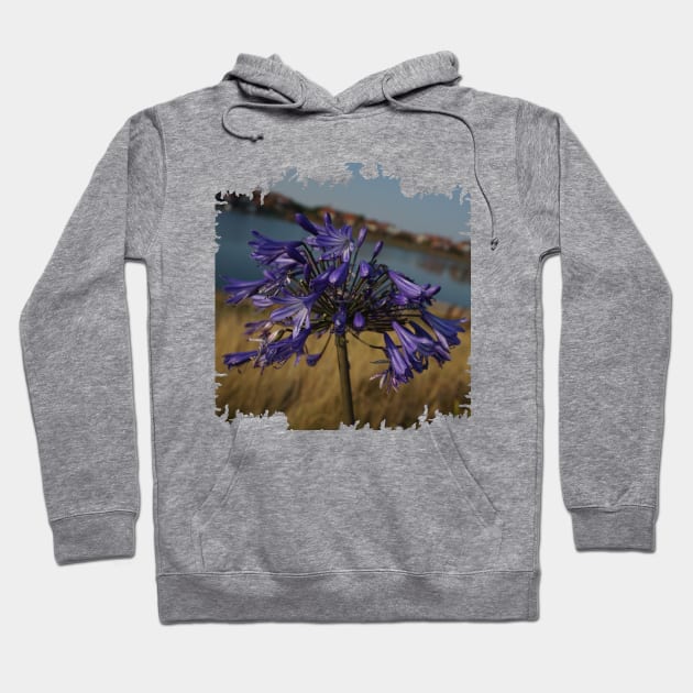 Agapanthus Hoodie by Nicole Gath Photography